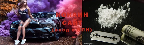 дживик Елизово