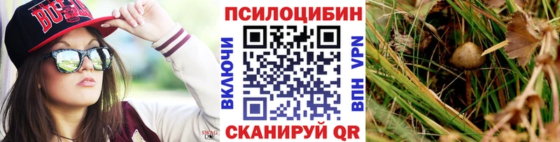 Галлюциногенные грибы Psilocybine cubensis  Купить  Новосиль 